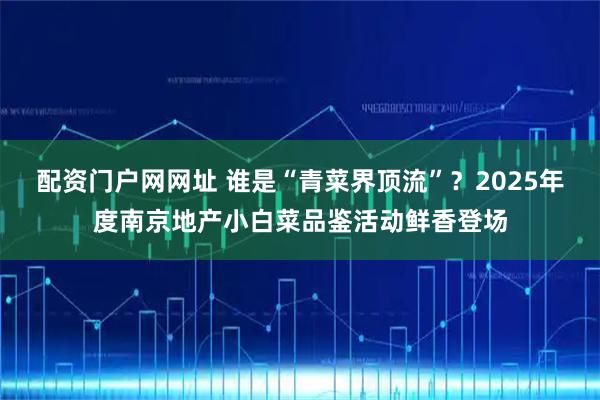 配资门户网网址 谁是“青菜界顶流”？2025年度南京地产小白菜品鉴活动鲜香登场