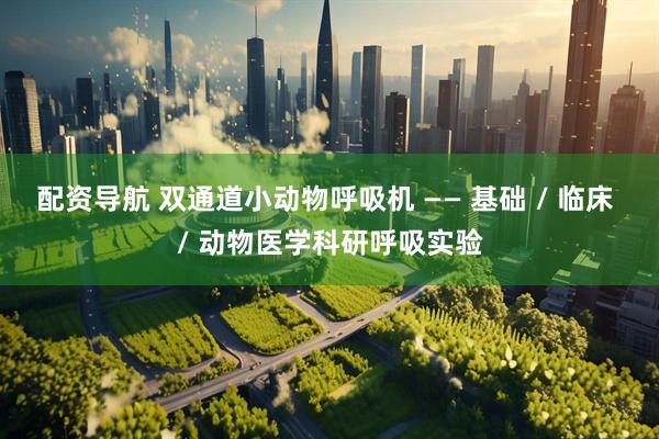 配资导航 双通道小动物呼吸机 —— 基础 / 临床 / 动物医学科研呼吸实验
