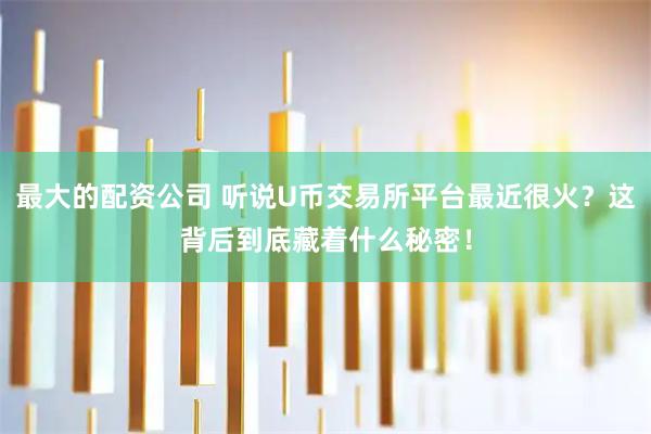 最大的配资公司 听说U币交易所平台最近很火？这背后到底藏着什么秘密！