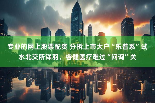 专业的网上股票配资 分拆上市大户“乐普系”试水北交所铩羽，睿健医疗难过“问询”关